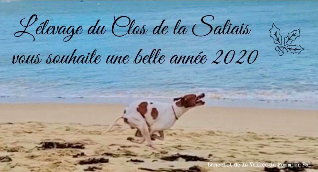 Du Clos De La Saliais - 2020