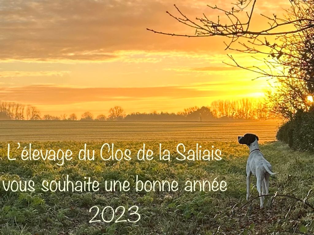 Du Clos De La Saliais - 2023 !