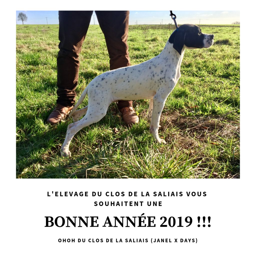 Du Clos De La Saliais - Bonne Année 2019