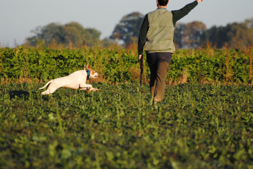 Du Clos De La Saliais - Ouverture de la Chasse