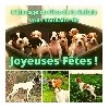  - Joyeuses Fêtes !