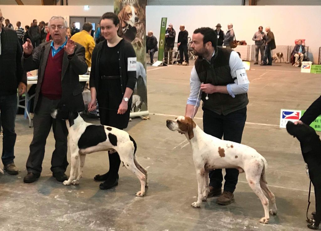 Du Clos De La Saliais - Exposition Internationale de RENNES