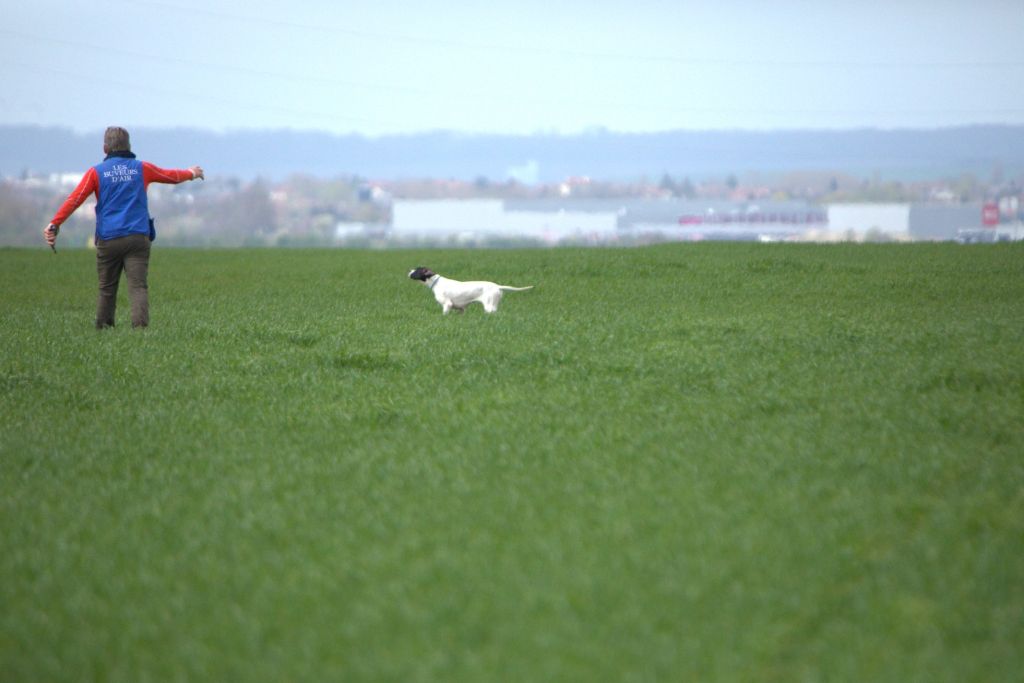 Sigma Du Clos De La Saliais