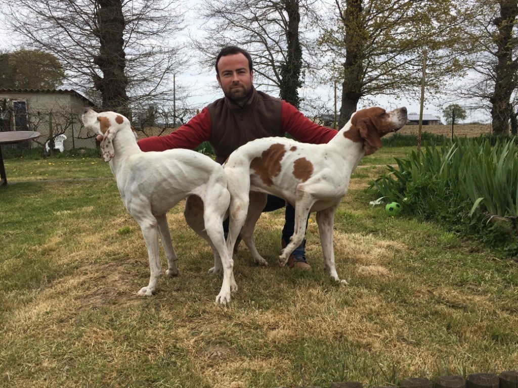Du Clos De La Saliais - Saillie Lancelot X Ness