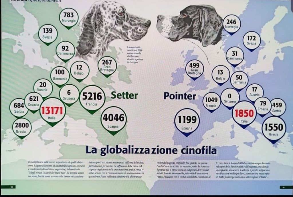 Du Clos De La Saliais - Le Pointer en Europe !
